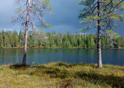 Järvi, jonka yllä lentää kaksi joutsenta.