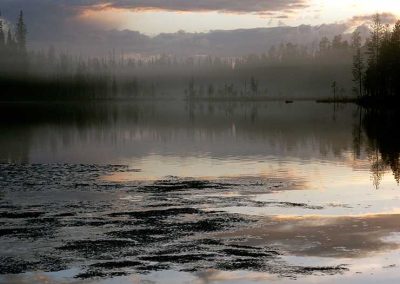 Usvainen järvimaisema.