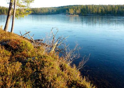 Kirkas jää järvellä, aurinko paistaa rantatöyrääseen.