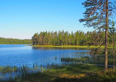 Kesäinen järvimaisema.